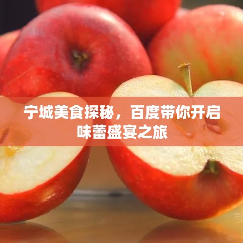 宁城美食探秘，百度带你开启味蕾盛宴之旅
