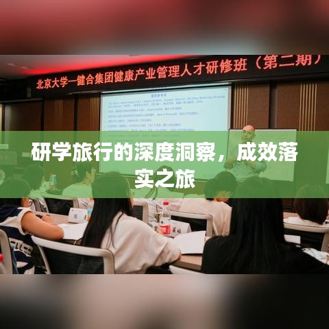 一石三鸟