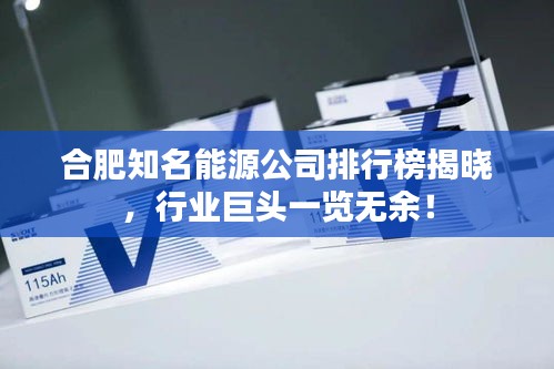 合肥知名能源公司排行榜揭晓，行业巨头一览无余！