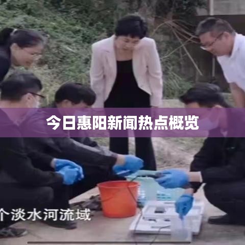 今日惠阳新闻热点概览
