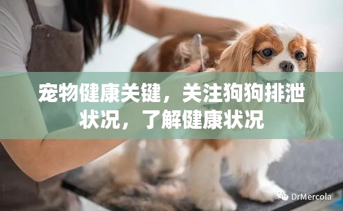 游戏资讯 第14页