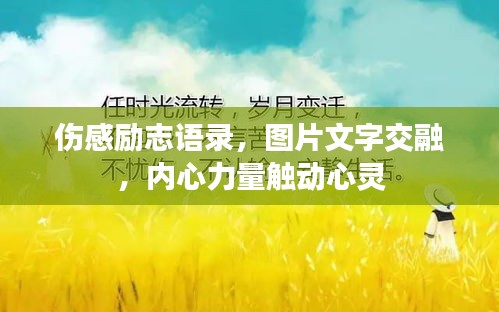 伤感励志语录，图片文字交融，内心力量触动心灵