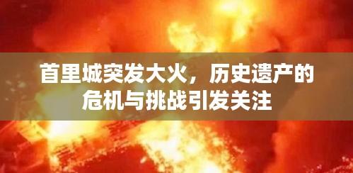 资料大全下载 第14页
