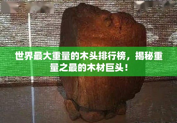 热门游戏 第13页
