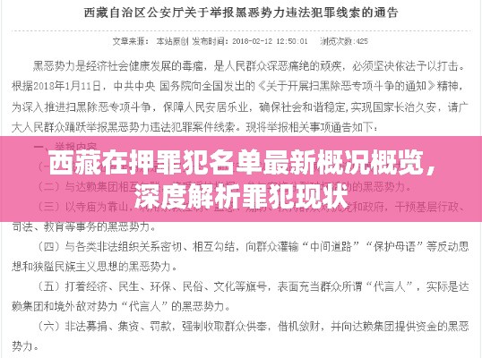 西藏在押罪犯名单最新概况概览，深度解析罪犯现状
