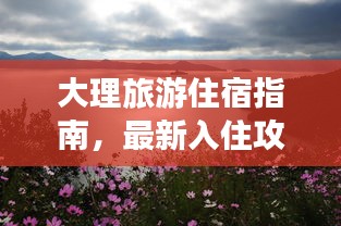 大理旅游住宿指南，最新入住攻略速览！