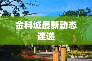 金科城最新动态速递