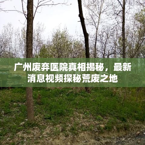 纲举目张
