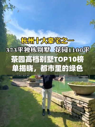 鹤立鸡群