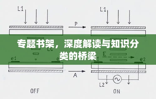 专题书架，深度解读与知识分类的桥梁