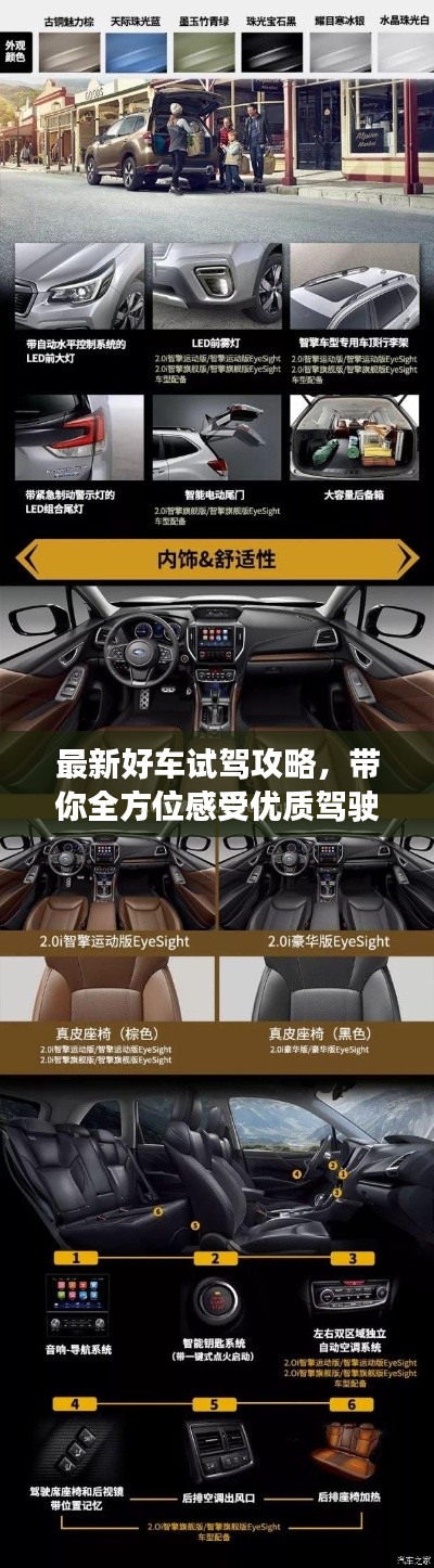 最新好车试驾攻略，带你全方位感受优质驾驶乐趣