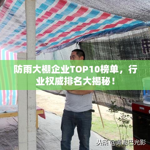 防雨大棚企业TOP10榜单，行业权威排名大揭秘！