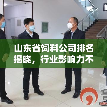 山东省饲料公司排名揭晓，行业影响力不容小觑