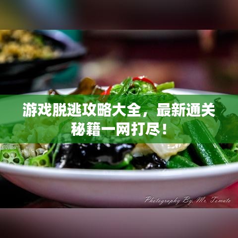 游戏脱逃攻略大全，最新通关秘籍一网打尽！