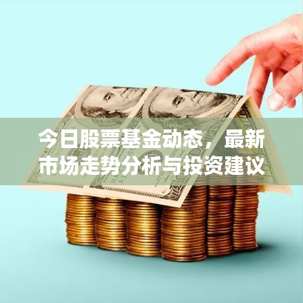 今日股票基金动态，最新市场走势分析与投资建议速递