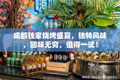 成都独家烧烤盛宴，独特风味，回味无穷，值得一试！