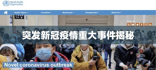 突发新冠疫情重大事件揭秘