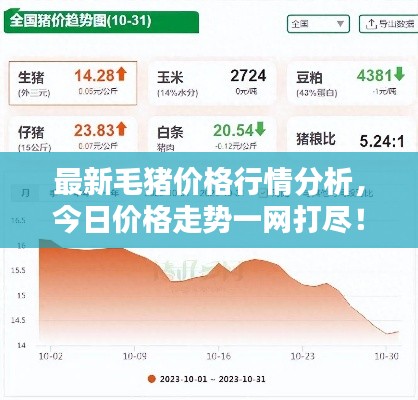 最新毛猪价格行情分析，今日价格走势一网打尽！